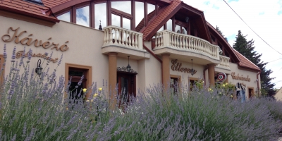 Üdvözöljük honlapunkon!